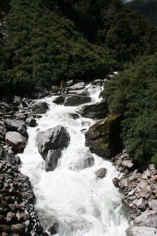 Nieuw-Zeeland 2011 - 1568